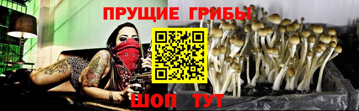Галлюциногенные грибы ЛСД Россошь