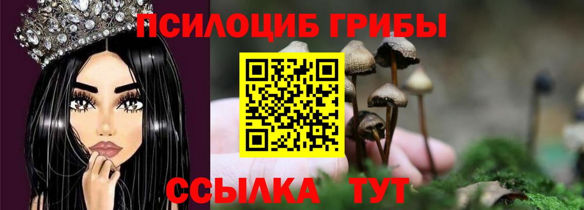 Россошь  Псилоцибиновые грибы мухоморы  Вход с VPN  Псилоцибиновые грибы Psilocybine cubensis 